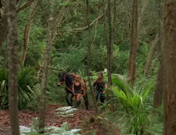 extant_XenaWarriorPrincess_3x03-TheDirtyHalfDozen_01555