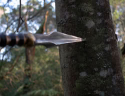extant_XenaWarriorPrincess_3x03-TheDirtyHalfDozen_01658