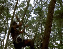 extant_XenaWarriorPrincess_3x03-TheDirtyHalfDozen_01895