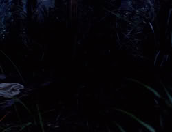 extant_XenaWarriorPrincess_3x03-TheDirtyHalfDozen_01964