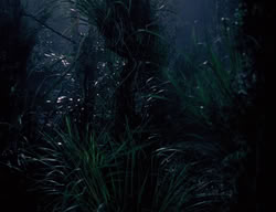 extant_XenaWarriorPrincess_3x03-TheDirtyHalfDozen_01978