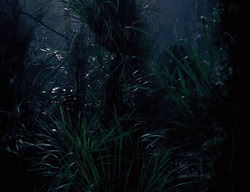 extant_XenaWarriorPrincess_3x03-TheDirtyHalfDozen_01979