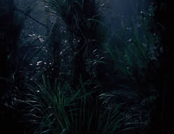extant_XenaWarriorPrincess_3x03-TheDirtyHalfDozen_01980