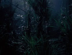 extant_XenaWarriorPrincess_3x03-TheDirtyHalfDozen_01982