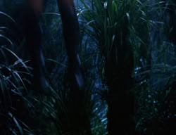 extant_XenaWarriorPrincess_3x03-TheDirtyHalfDozen_02029