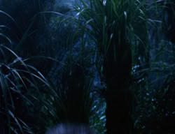 extant_XenaWarriorPrincess_3x03-TheDirtyHalfDozen_02030