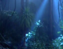 extant_XenaWarriorPrincess_3x03-TheDirtyHalfDozen_02207