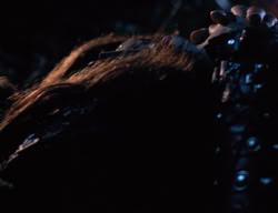 extant_XenaWarriorPrincess_3x03-TheDirtyHalfDozen_02225