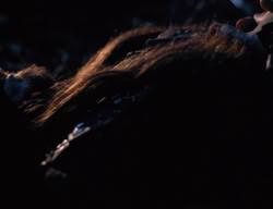 extant_XenaWarriorPrincess_3x03-TheDirtyHalfDozen_02226