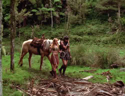 extant_XenaWarriorPrincess_3x04-TheDeliverer_00209