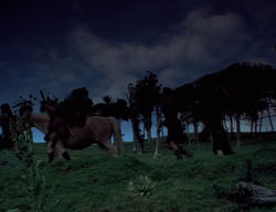 extant_XenaWarriorPrincess_3x04-TheDeliverer_00581