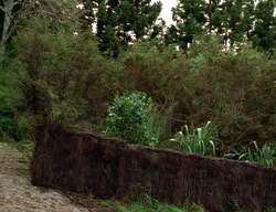 extant_XenaWarriorPrincess_3x04-TheDeliverer_02438