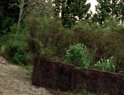 extant_XenaWarriorPrincess_3x04-TheDeliverer_02439