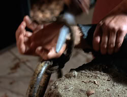 extant_XenaWarriorPrincess_3x04-TheDeliverer_02857