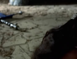 extant_XenaWarriorPrincess_3x04-TheDeliverer_03288