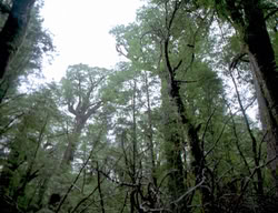 extant_XenaWarriorPrincess_3x05-GabriellesHope_00283