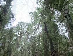 extant_XenaWarriorPrincess_3x05-GabriellesHope_00287