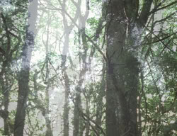 extant_XenaWarriorPrincess_3x05-GabriellesHope_00288