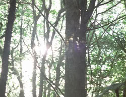 extant_XenaWarriorPrincess_3x05-GabriellesHope_00289