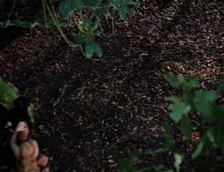 extant_XenaWarriorPrincess_3x05-GabriellesHope_00314