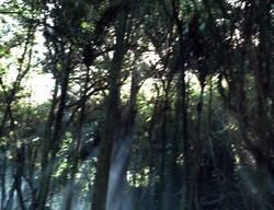 extant_XenaWarriorPrincess_3x05-GabriellesHope_00328
