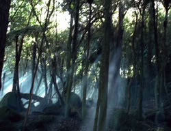 extant_XenaWarriorPrincess_3x05-GabriellesHope_00329