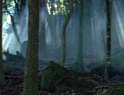 extant_XenaWarriorPrincess_3x05-GabriellesHope_00337