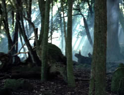 extant_XenaWarriorPrincess_3x05-GabriellesHope_00339