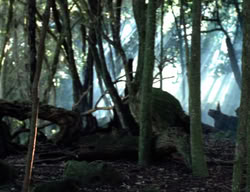 extant_XenaWarriorPrincess_3x05-GabriellesHope_00340