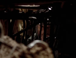 extant_XenaWarriorPrincess_3x05-GabriellesHope_00800