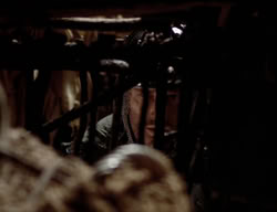 extant_XenaWarriorPrincess_3x05-GabriellesHope_00801