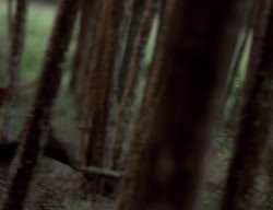 extant_XenaWarriorPrincess_3x05-GabriellesHope_01156