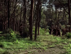 extant_XenaWarriorPrincess_3x05-GabriellesHope_01174