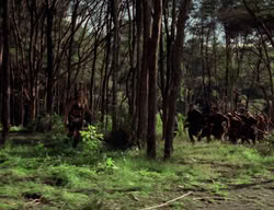 extant_XenaWarriorPrincess_3x05-GabriellesHope_01175