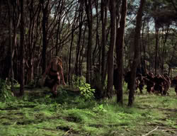 extant_XenaWarriorPrincess_3x05-GabriellesHope_01176