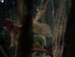 extant_XenaWarriorPrincess_3x05-GabriellesHope_01355