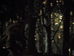 extant_XenaWarriorPrincess_3x05-GabriellesHope_01382