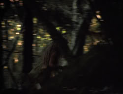 extant_XenaWarriorPrincess_3x05-GabriellesHope_01383