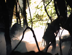extant_XenaWarriorPrincess_3x05-GabriellesHope_01389