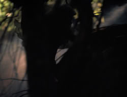 extant_XenaWarriorPrincess_3x05-GabriellesHope_01391