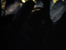 extant_XenaWarriorPrincess_3x05-GabriellesHope_01392