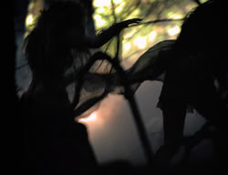 extant_XenaWarriorPrincess_3x05-GabriellesHope_01393