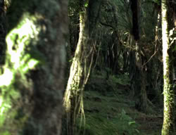extant_XenaWarriorPrincess_3x05-GabriellesHope_01395