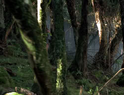 extant_XenaWarriorPrincess_3x05-GabriellesHope_01399