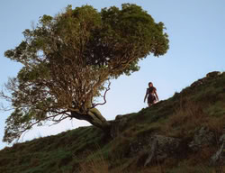 extant_XenaWarriorPrincess_3x05-GabriellesHope_02990