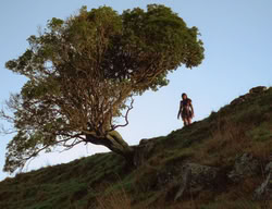 extant_XenaWarriorPrincess_3x05-GabriellesHope_02991