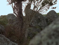 extant_XenaWarriorPrincess_3x05-GabriellesHope_03255