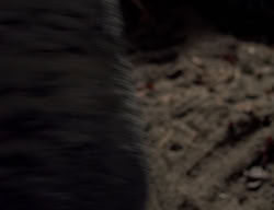 extant_XenaWarriorPrincess_3x05-GabriellesHope_03437