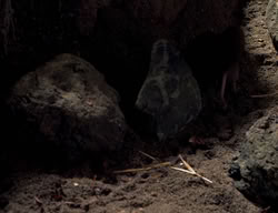 extant_XenaWarriorPrincess_3x05-GabriellesHope_03439