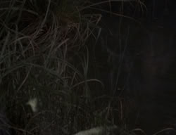 extant_XenaWarriorPrincess_3x05-GabriellesHope_03486